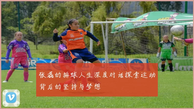 张磊的排球人生深度对话探索运动背后的坚持与梦想