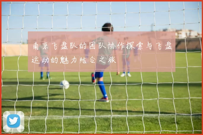 南京飞盘队的团队协作探索与飞盘运动的魅力结合之旅