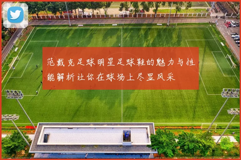 范戴克足球明星足球鞋的魅力与性能解析让你在球场上尽显风采