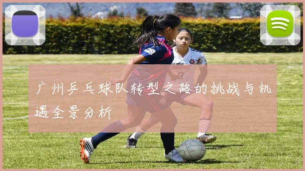 广州乒乓球队转型之路的挑战与机遇全景分析