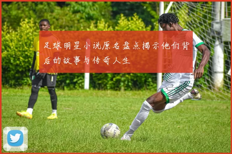 足球明星小说原名盘点揭示他们背后的故事与传奇人生