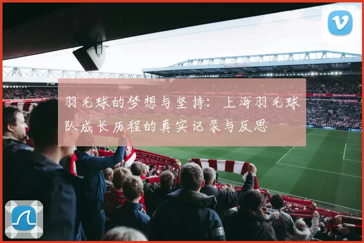 羽毛球的梦想与坚持：上海羽毛球队成长历程的真实记录与反思