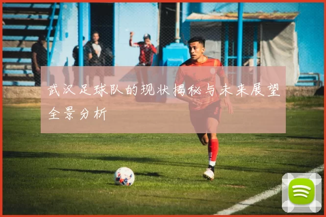 武汉足球队的现状揭秘与未来展望全景分析