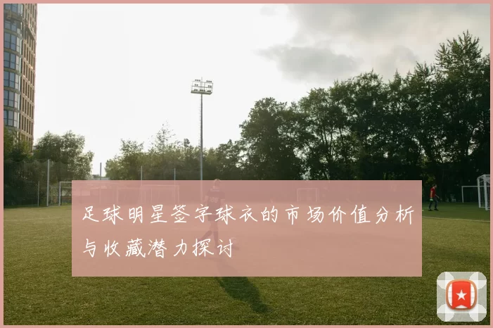 足球明星签字球衣的市场价值分析与收藏潜力探讨