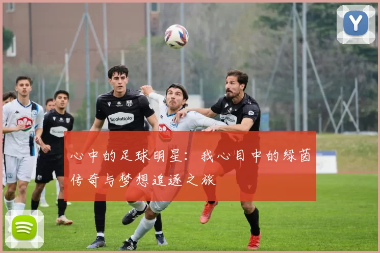心中的足球明星：我心目中的绿茵传奇与梦想追逐之旅