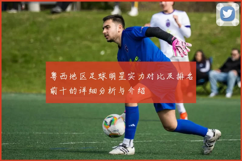 粤西地区足球明星实力对比及排名前十的详细分析与介绍