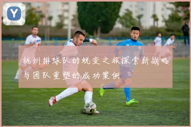 杭州排球队的蜕变之旅探索新战略与团队重塑的成功案例