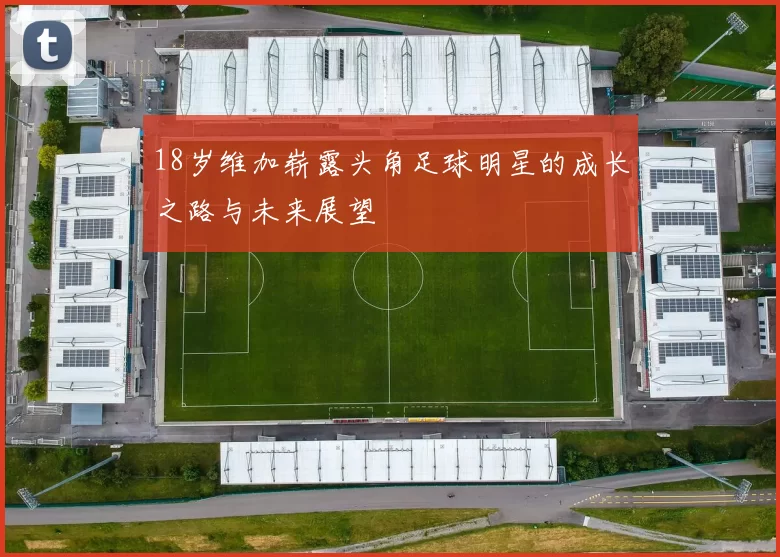 18岁维加崭露头角足球明星的成长之路与未来展望