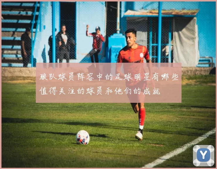 狼队球员阵容中的足球明星有哪些值得关注的球员和他们的成就
