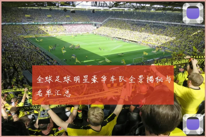 全球足球明星豪华车队全景揭秘与名单汇总