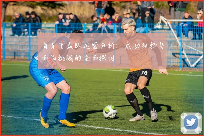 南京飞盘队运营分析：成功经验与面临挑战的全面探讨