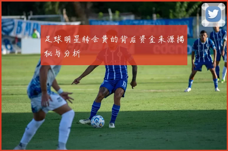 足球明星转会费的背后资金来源揭秘与分析