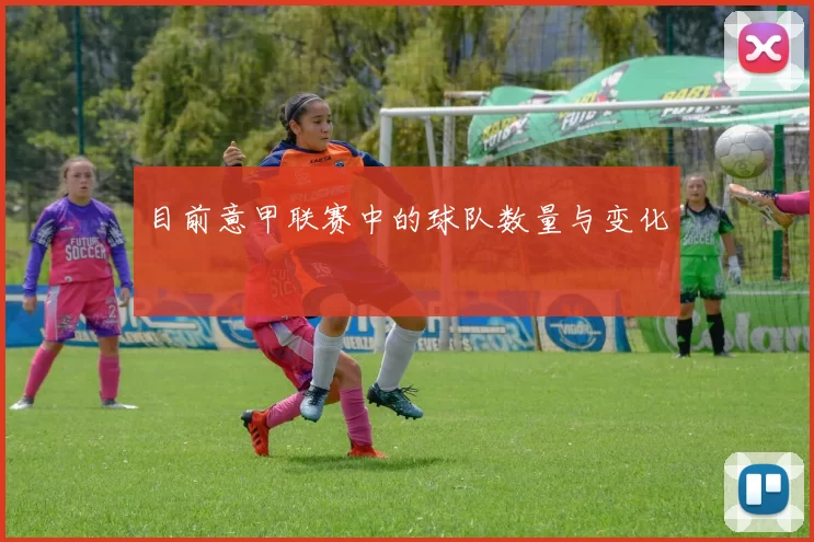 目前意甲联赛中的球队数量与变化