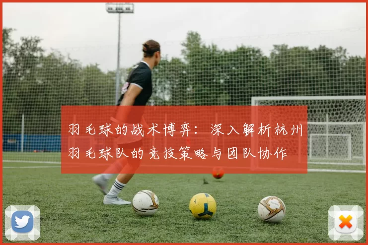 羽毛球的战术博弈：深入解析杭州羽毛球队的竞技策略与团队协作