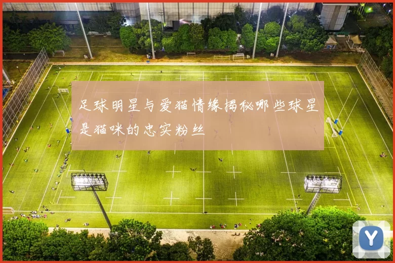 足球明星与爱猫情缘揭秘哪些球星是猫咪的忠实粉丝