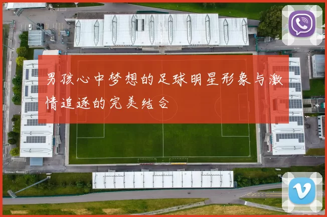 男孩心中梦想的足球明星形象与激情追逐的完美结合