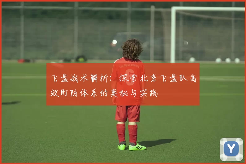 飞盘战术解析：探索北京飞盘队高效盯防体系的奥秘与实践