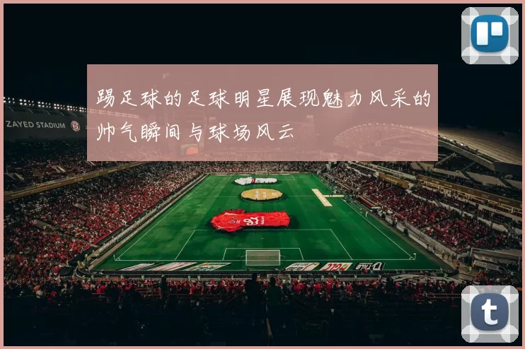 踢足球的足球明星展现魅力风采的帅气瞬间与球场风云