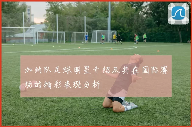 加纳队足球明星介绍及其在国际赛场的精彩表现分析